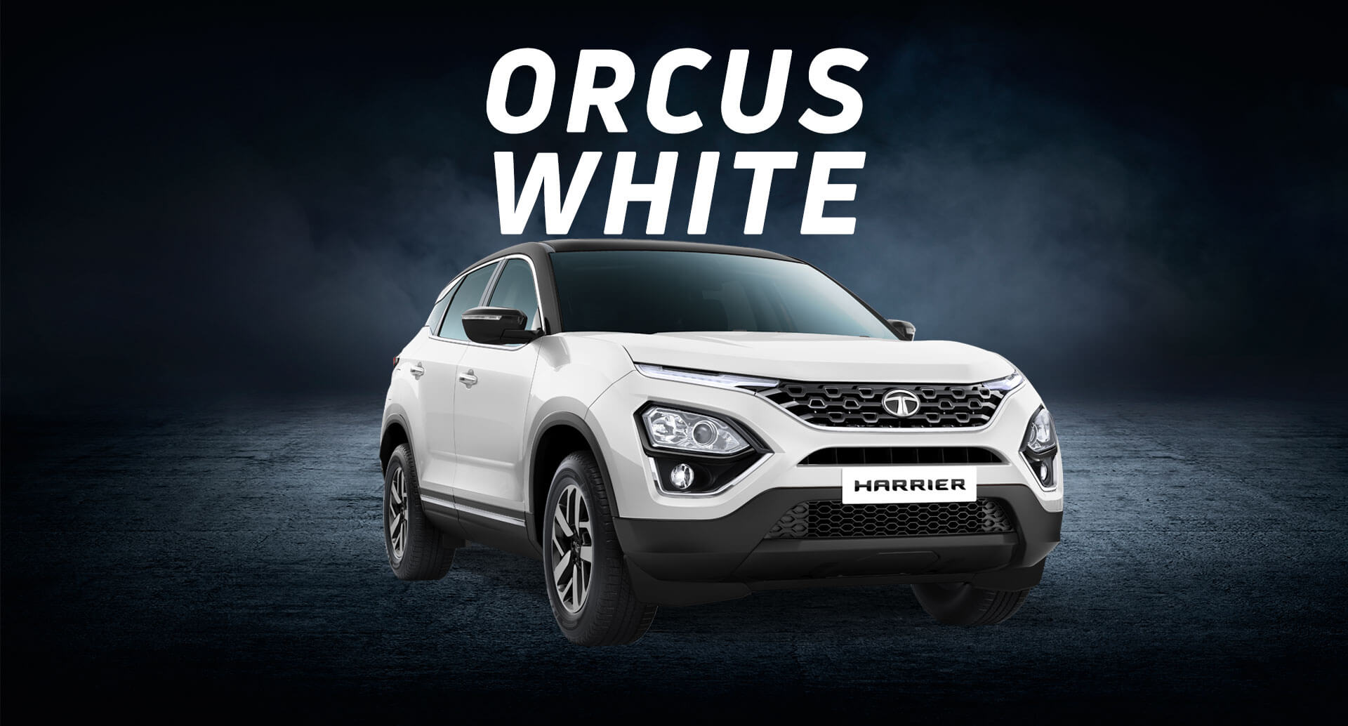 Orcus-White